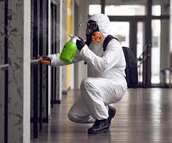 Mold Removal & Remediation